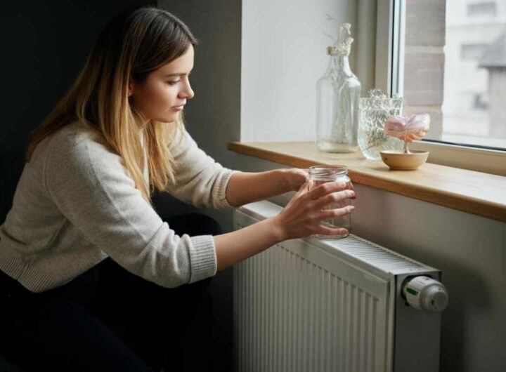 perchè mettere un vasetto sul termosifone?