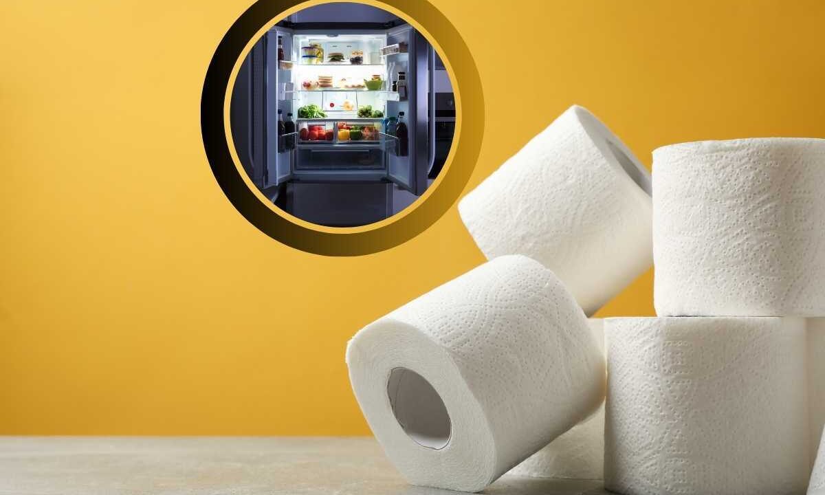 Trucco carta igienica nel frigo