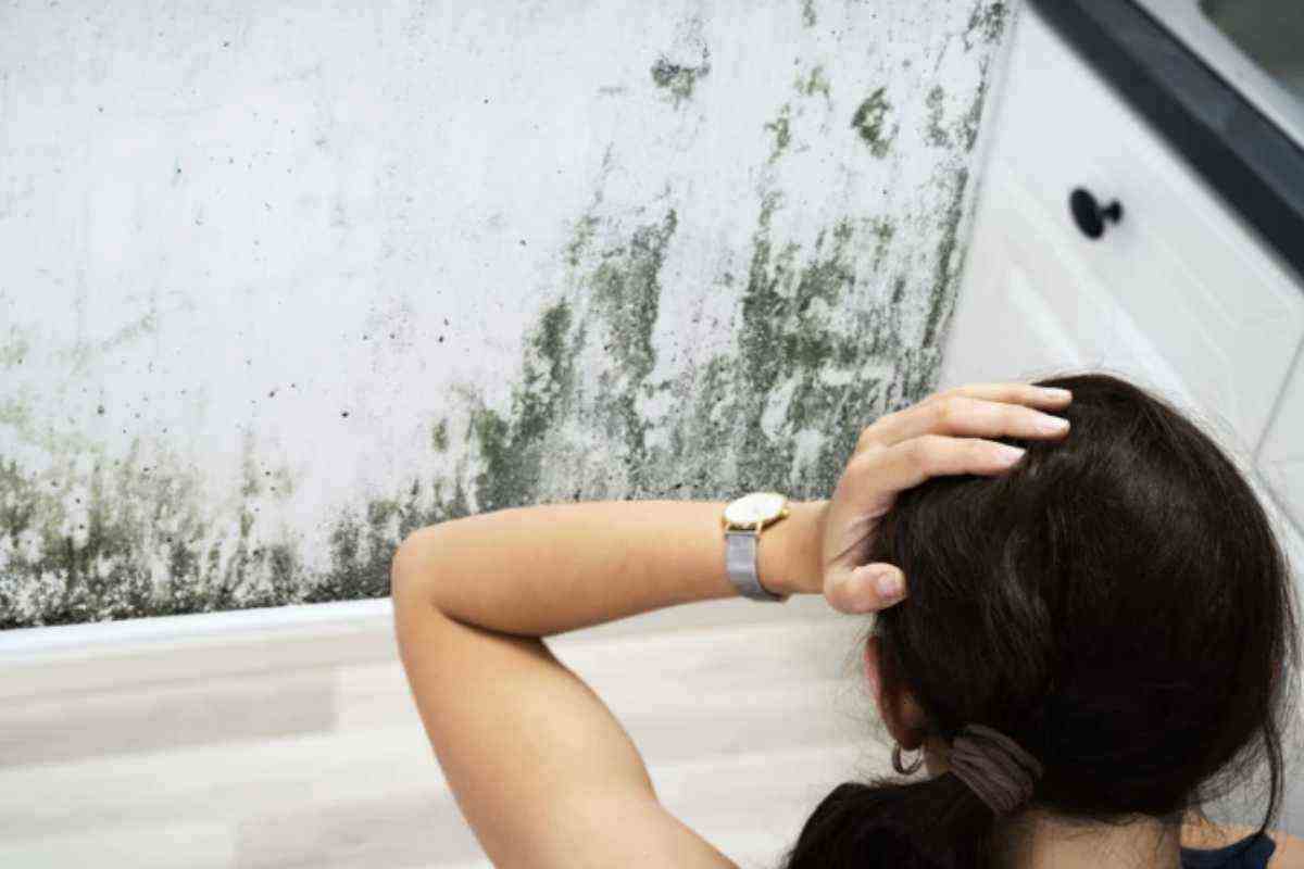 La comparsa di macchie scure e di efflorescenze bianco-verdi sui muri, soprattutto in ambienti come bagno e cucina, è sintomo di un’eccessiva umidità