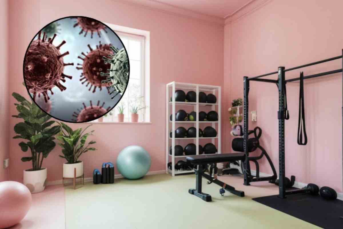 Sudore, germi e batteri possono accumularsi rapidamente su tappetini, pesi liberi e altri strumenti, rendendo indispensabile un’accurata disinfezione