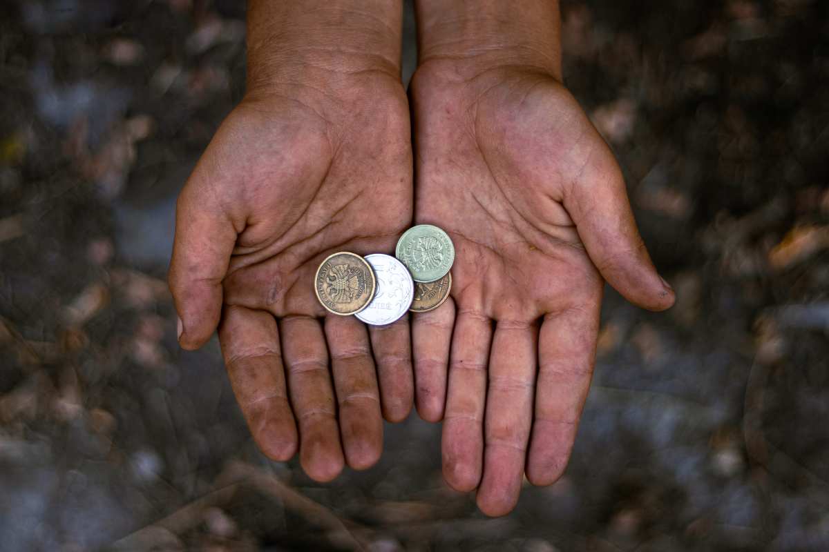 valore moneta donatello